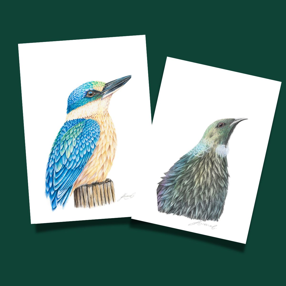 Coloured Pencil Art Prints