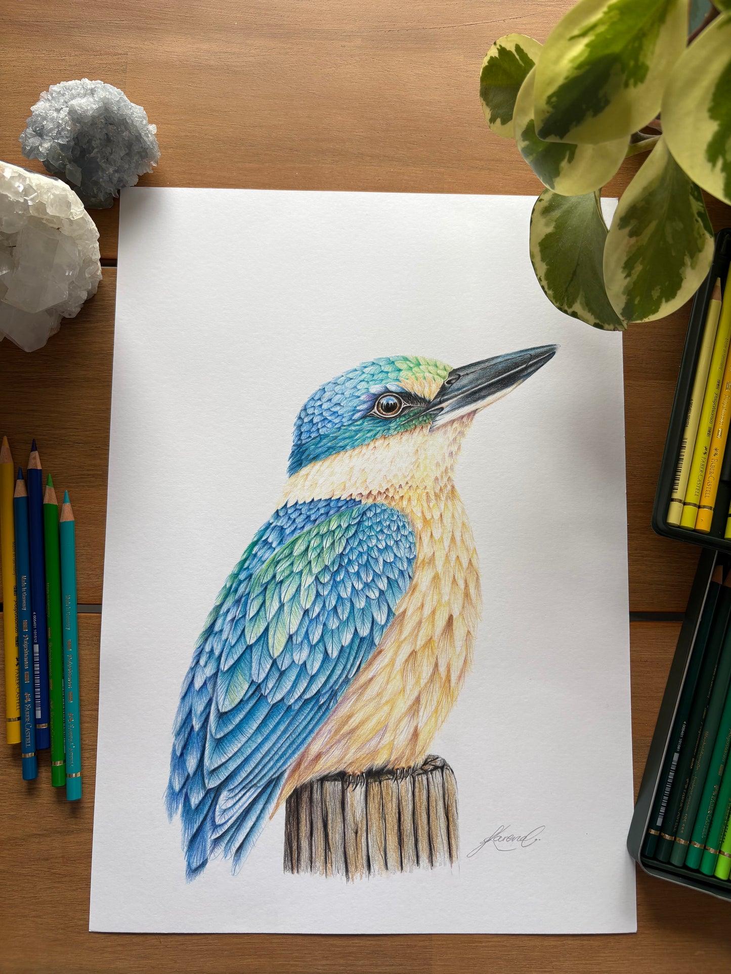 Kingfisher - Coloured Pencil Art Print