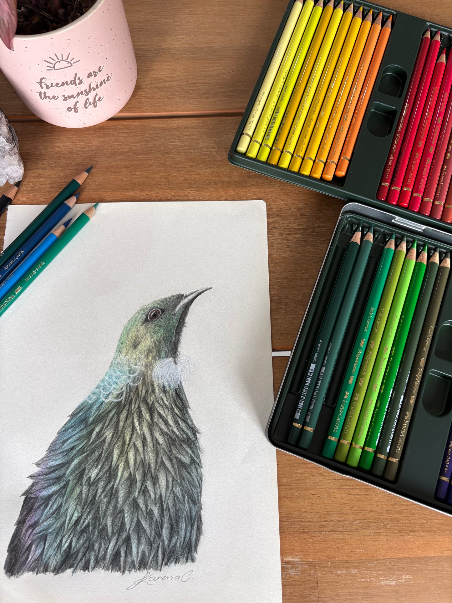 Tūī - Coloured Pencil Art Print