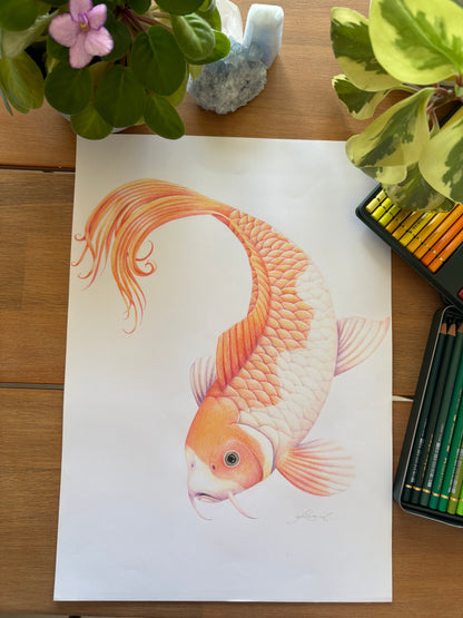 Koi Fish - Coloured Pencil Art Print