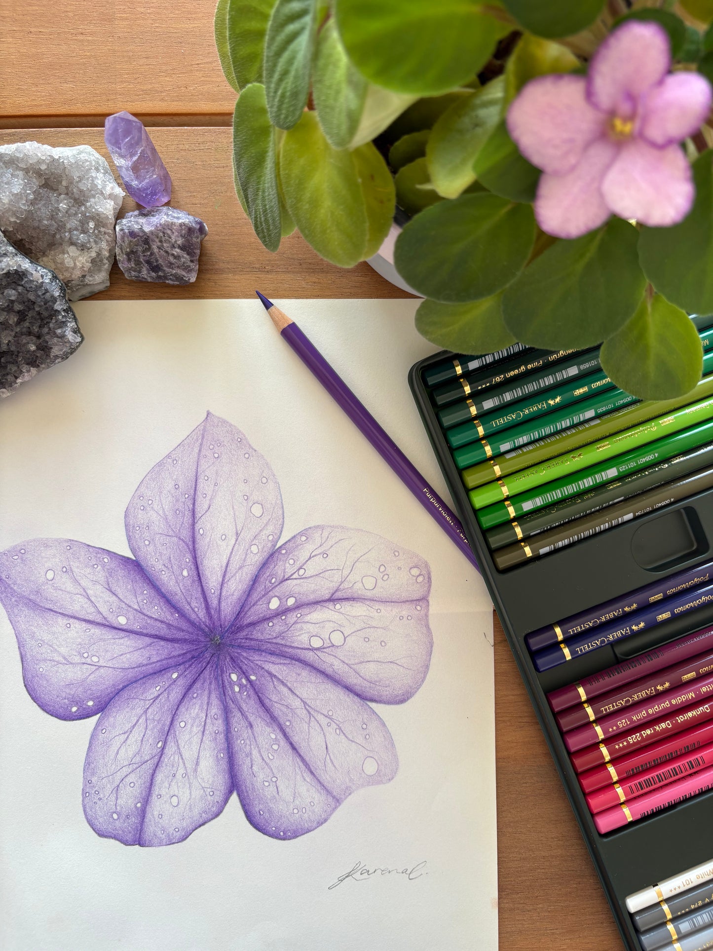 Purple Flower - Coloured Pencil Art Print