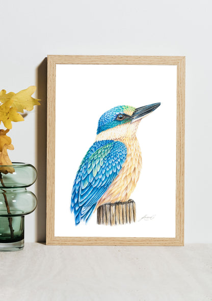 Kingfisher - Coloured Pencil Art Print