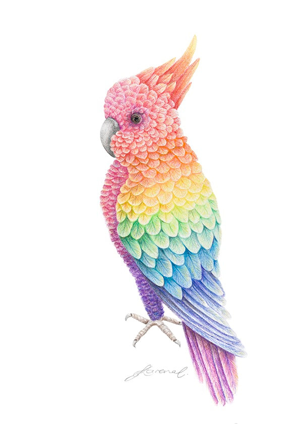 Colorful parrot illustration on a white background