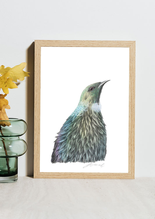 Tūī - Coloured Pencil Art Print