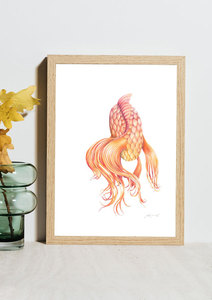 Butterfly Koi - Coloured Pencil Art Print