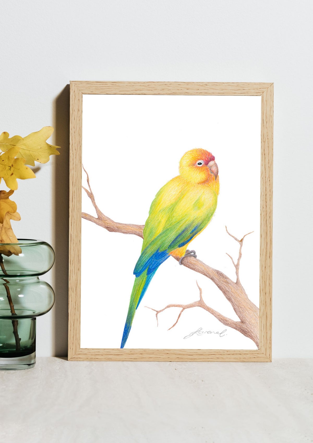 Sun Conure Bird - Coloured Pencil Art Print