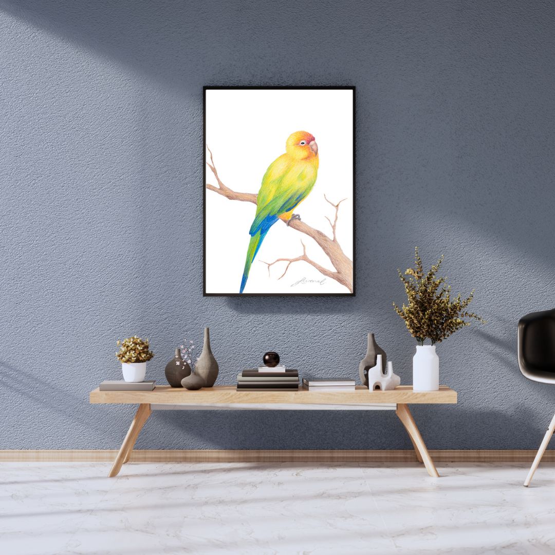 Sun Conure Bird - Coloured Pencil Art Print