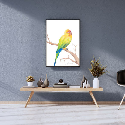 Sun Conure Bird - Coloured Pencil Art Print