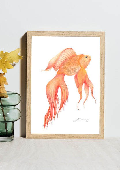 Goldfish - Coloured Pencil Art Print