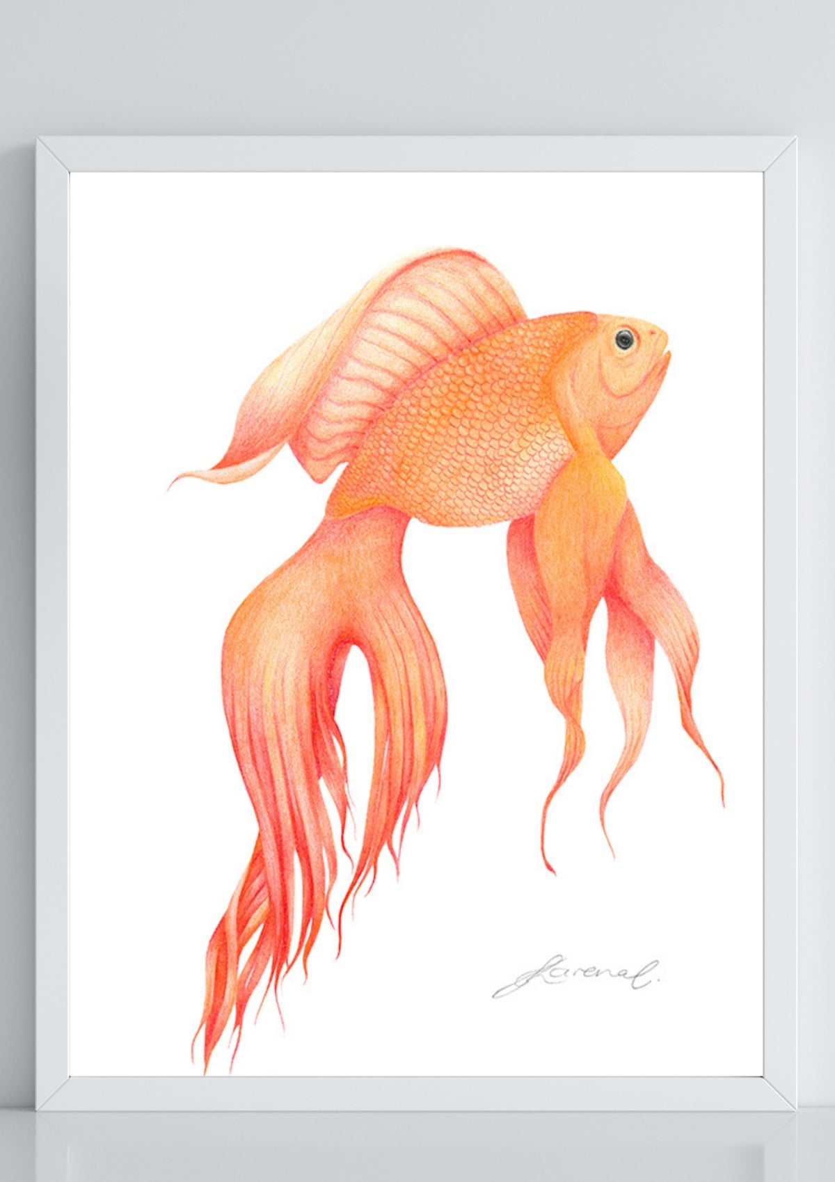 Goldfish - Coloured Pencil Art Print