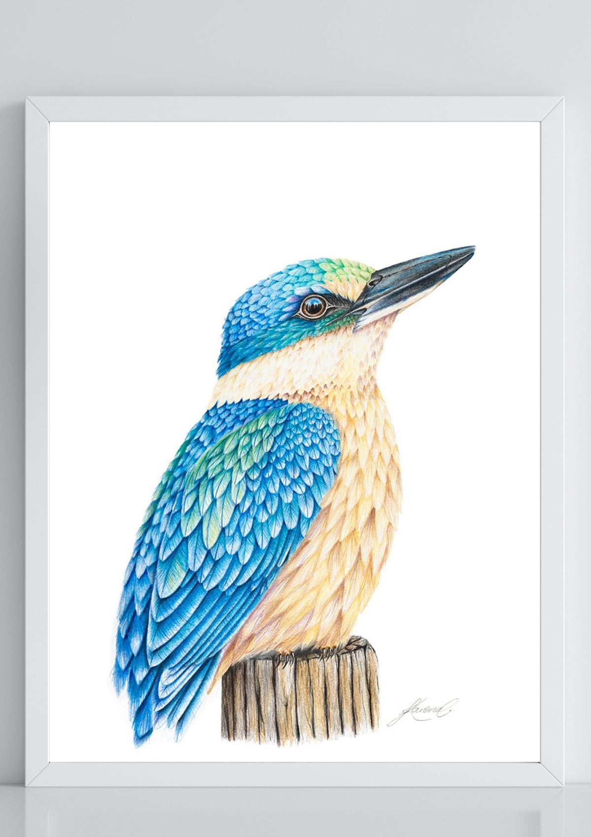 Kingfisher - Coloured Pencil Art Print