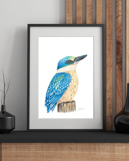 Kingfisher - Original Coloured Pencil Artwork