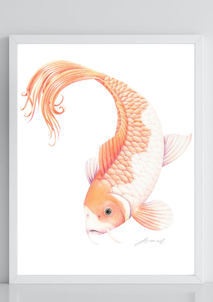 Koi Fish - Coloured Pencil Art Print