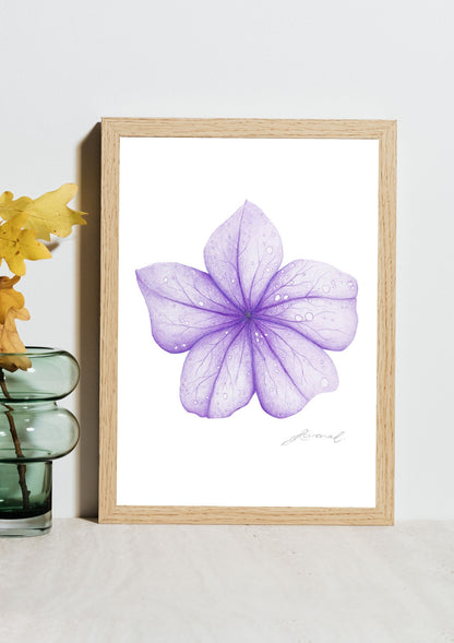 Purple Flower - Coloured Pencil Art Print