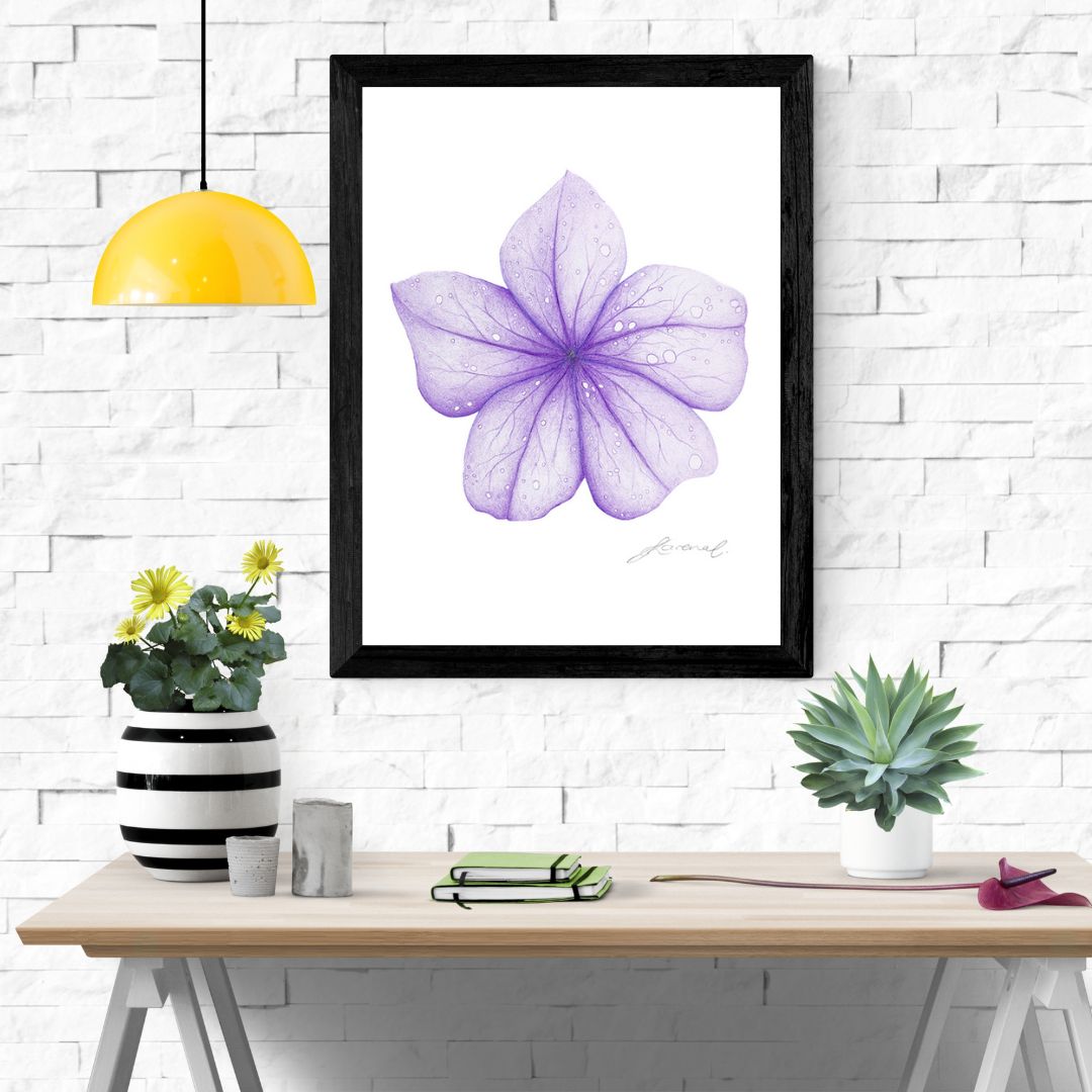 Purple Flower - Coloured Pencil Art Print