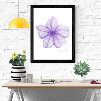Purple Flower - Coloured Pencil Art Print