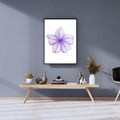 Purple Flower - Coloured Pencil Art Print