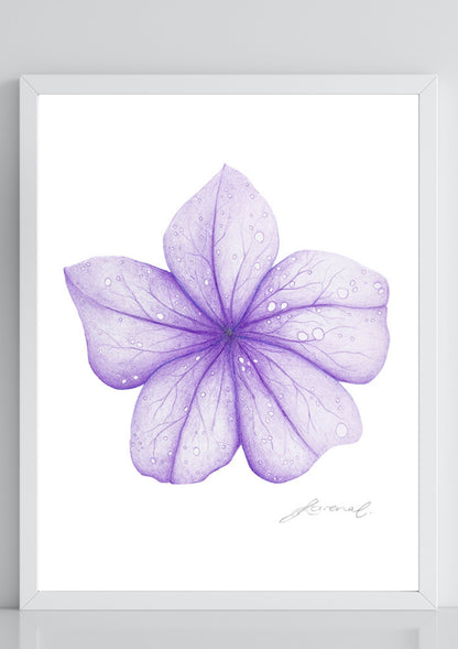 Purple Flower - Coloured Pencil Art Print
