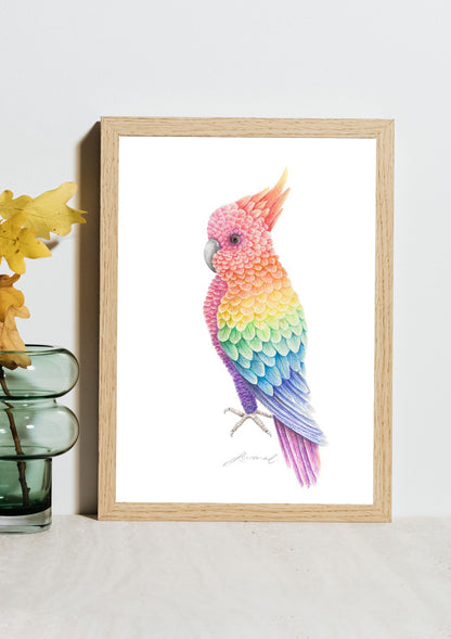 Floral Cockatoo - Coloured Pencil Art Print
