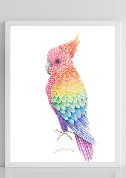 Floral Cockatoo - Coloured Pencil Art Print