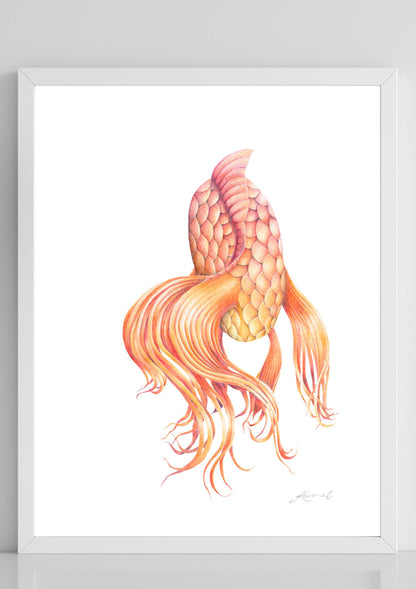 Butterfly Koi - Coloured Pencil Art Print