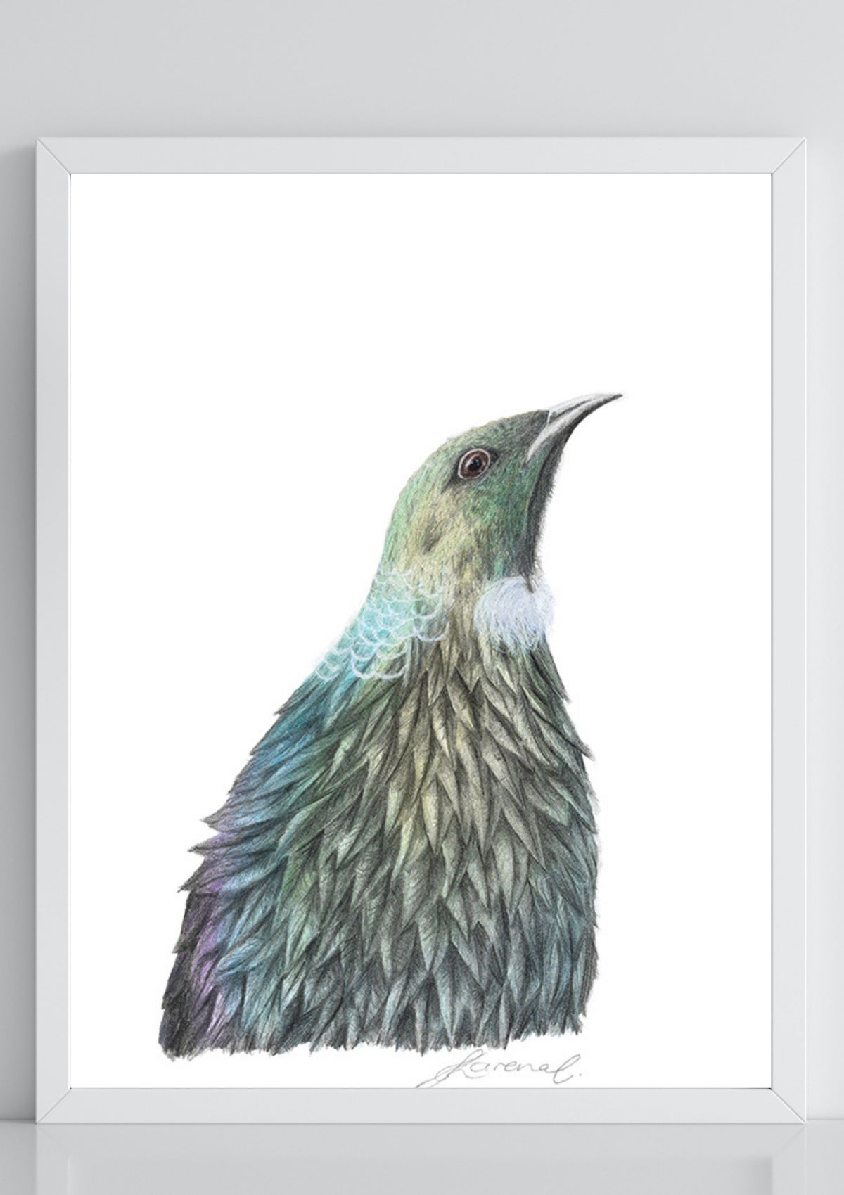 Tūī - Coloured Pencil Art Print
